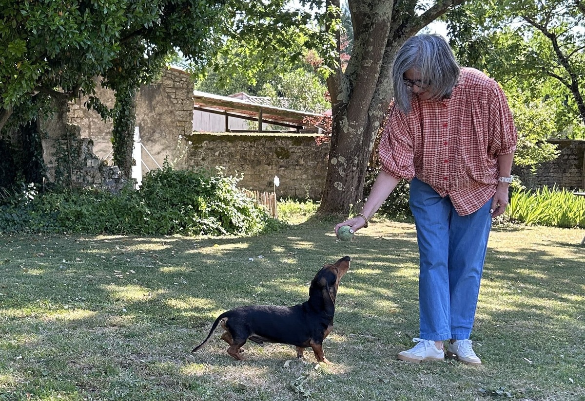 garde-animaux-a-domicile